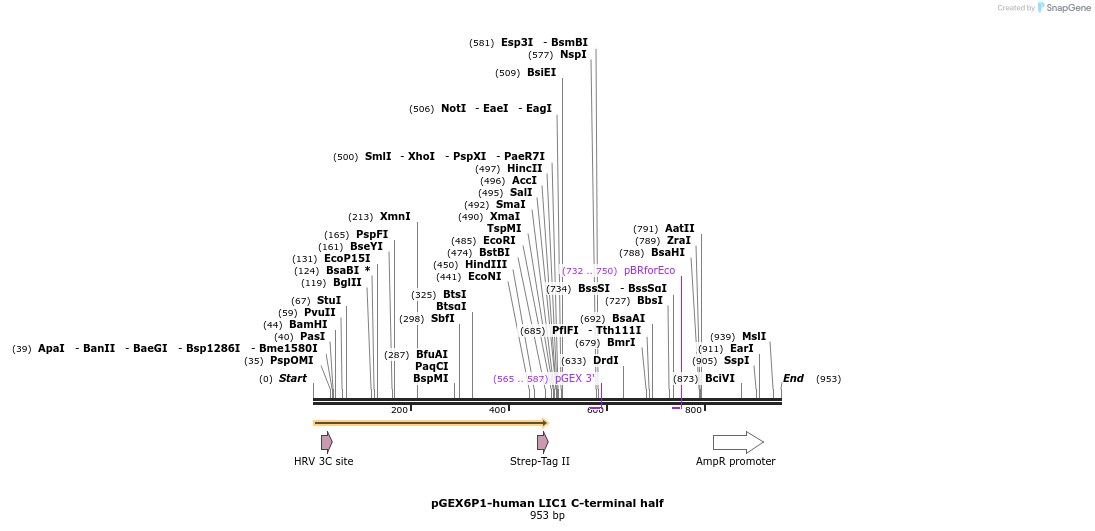 145958_map