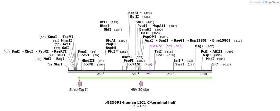145960_map