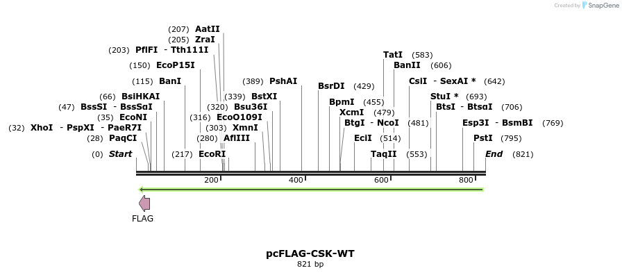 145966_map