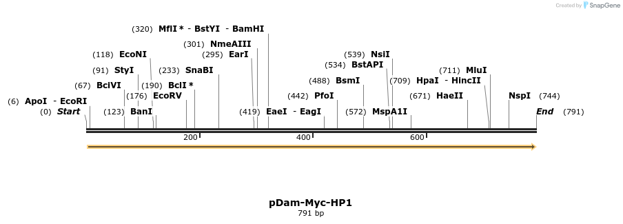 145970_map