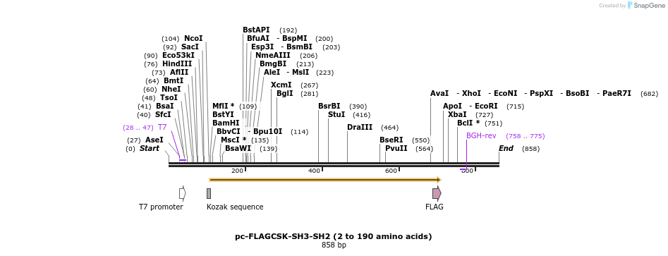 145980_map