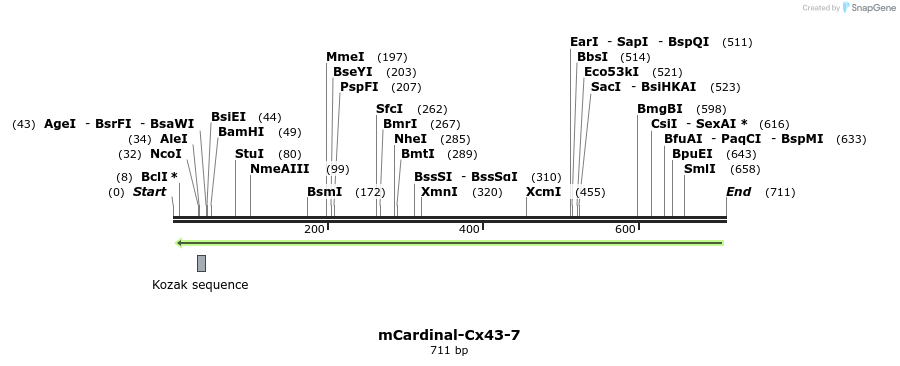 145982_map