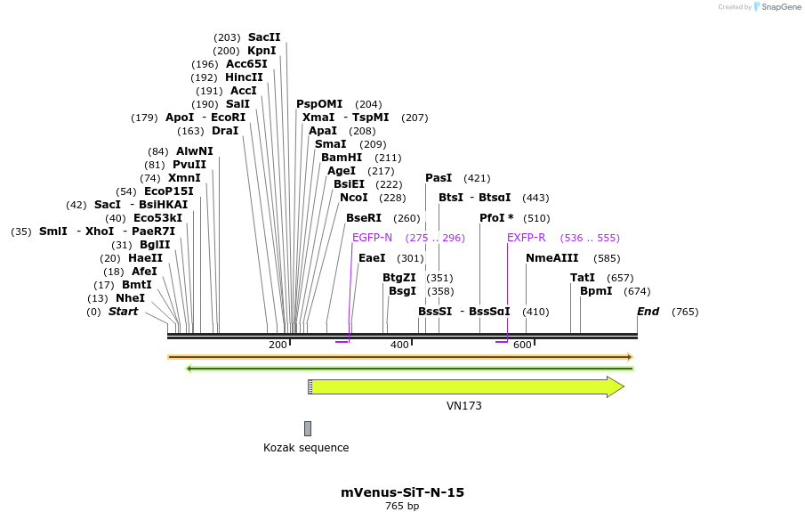 145985_map