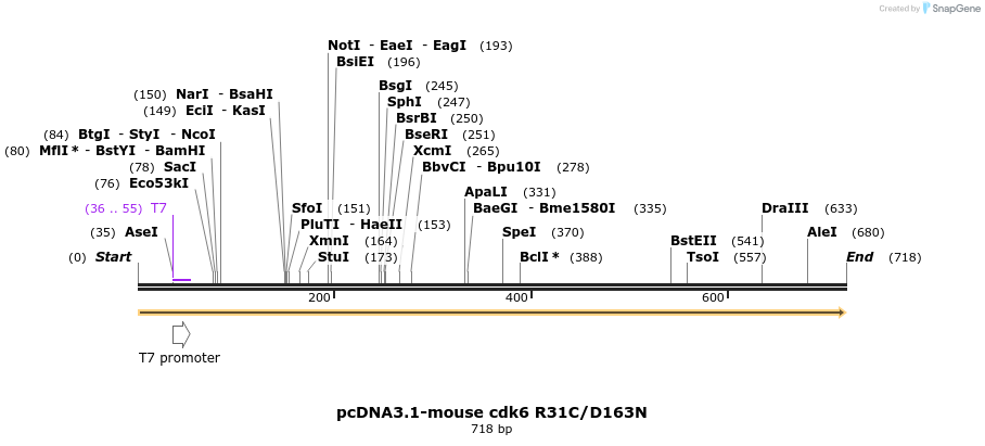 145988_map