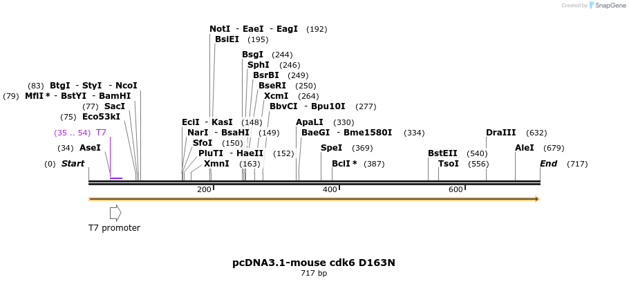 145990_map