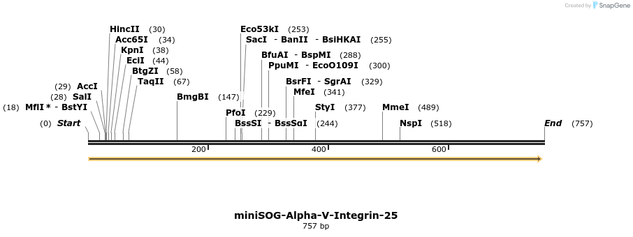145991_map