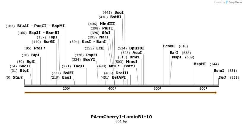 145992_map