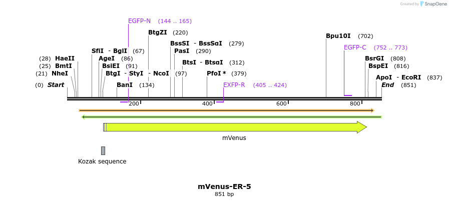 145994_map