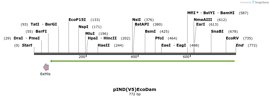 145996_map