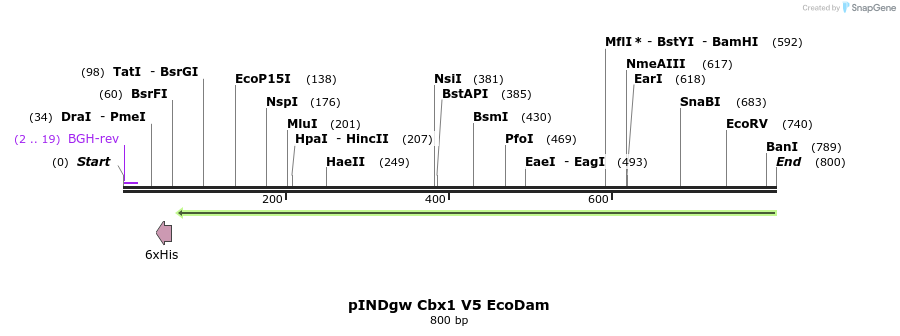 146003_map