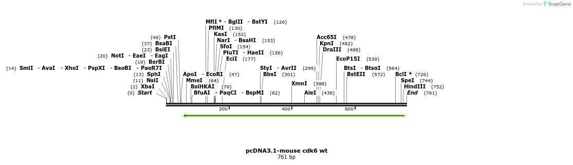146013_map