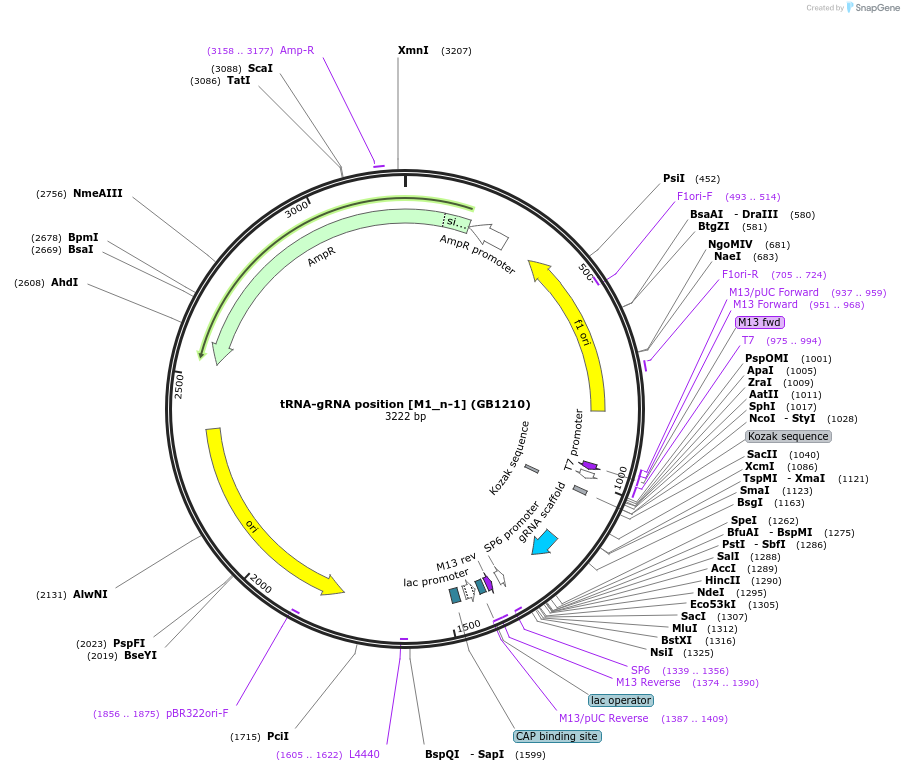 146014_map