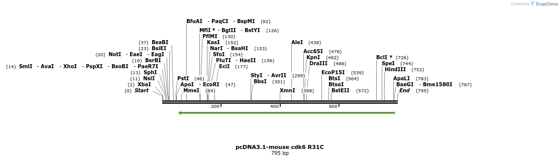 146015_map