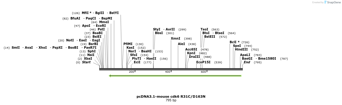 146019_map