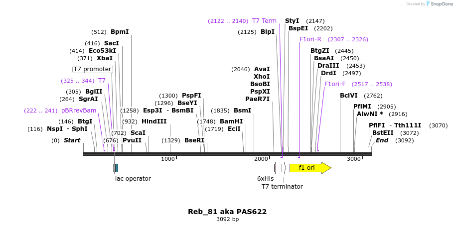 146034_map