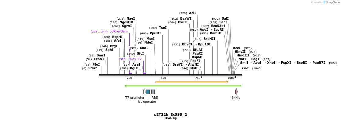 146041_map
