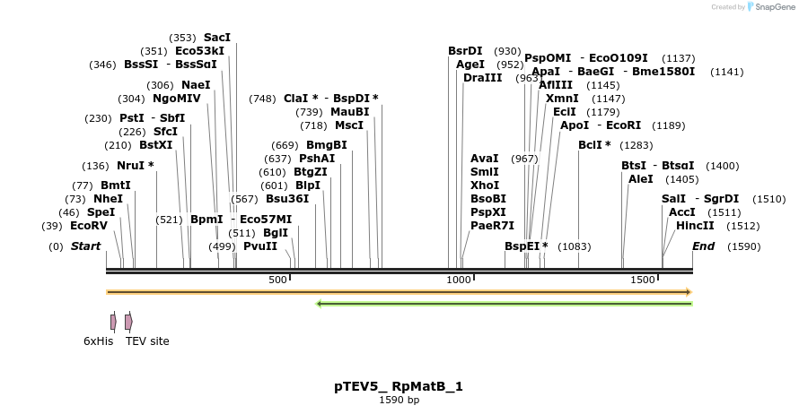 146042_map
