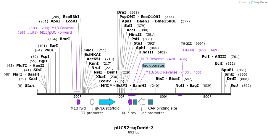 146066_map