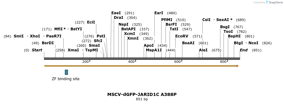 146067_map