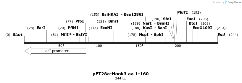 146068_map