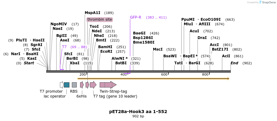 146070_map