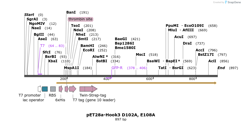 146074_map