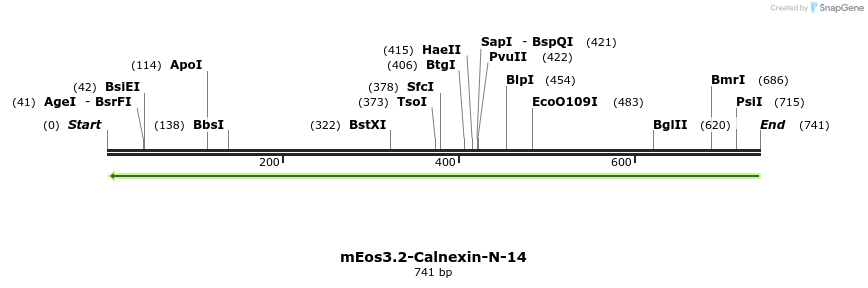146078_map