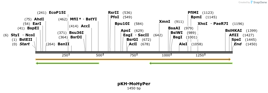 146080_map