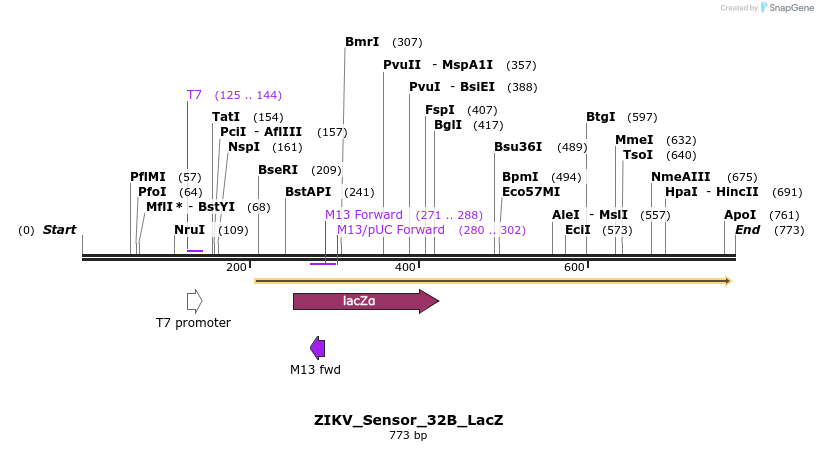 146081_map