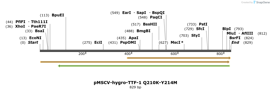 146085_map