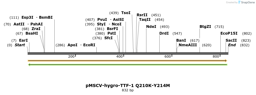 146086_map
