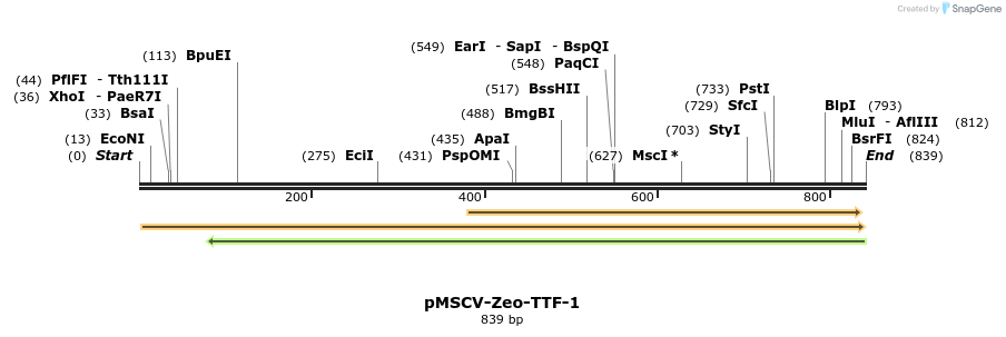 146089_map
