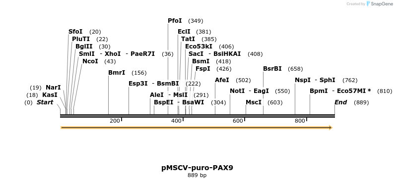 146090_map