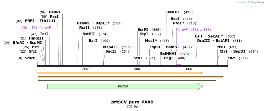 146091_map