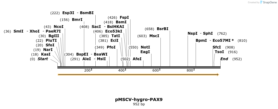 146092_map