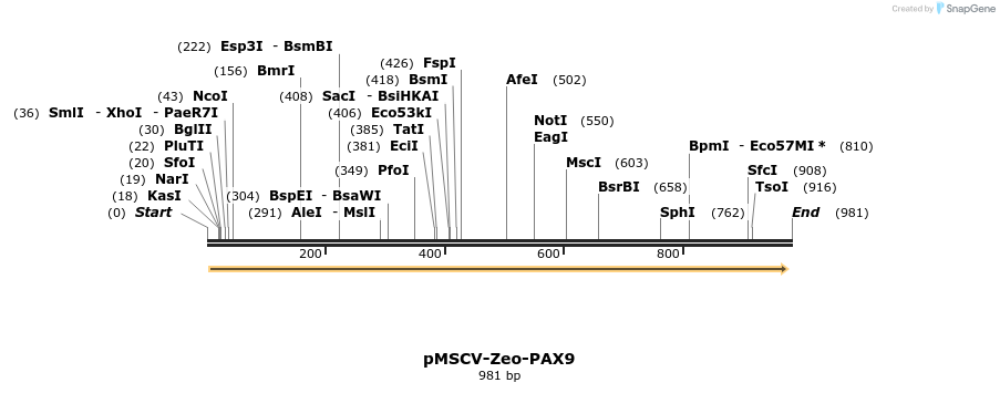 146094_map