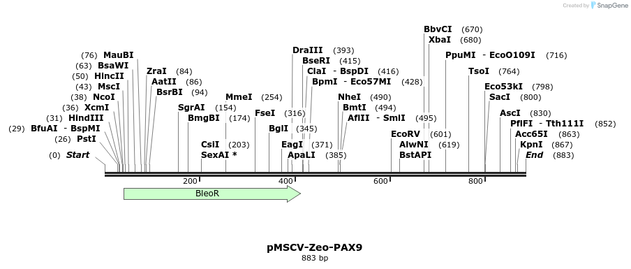 146095_map
