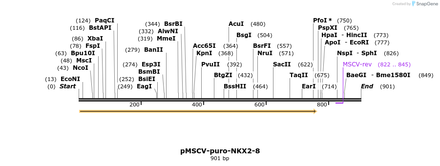 146096_map