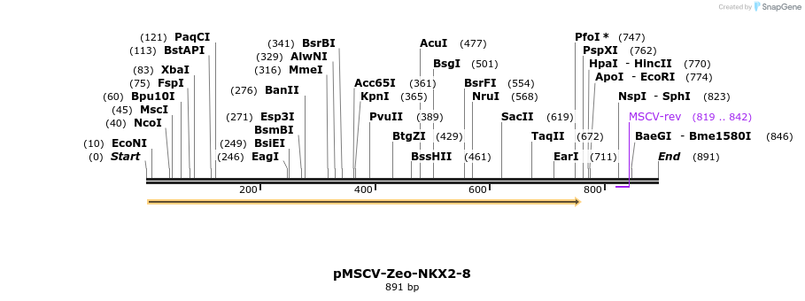 146099_map