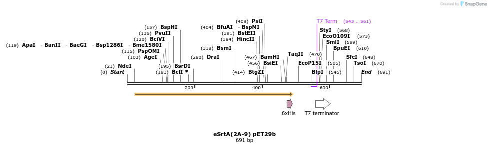 146102_map