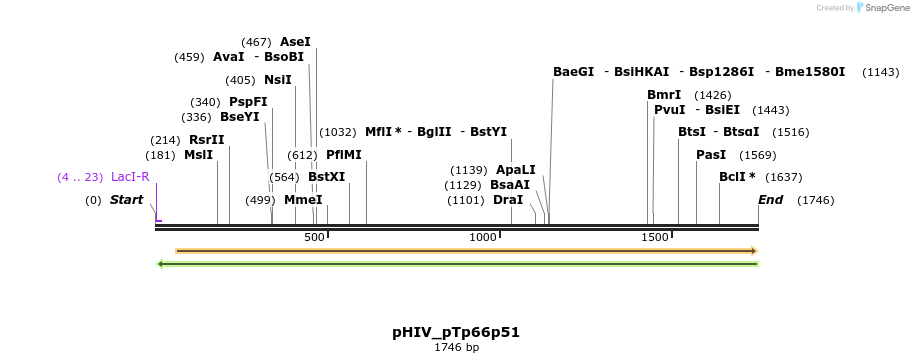 146109_map