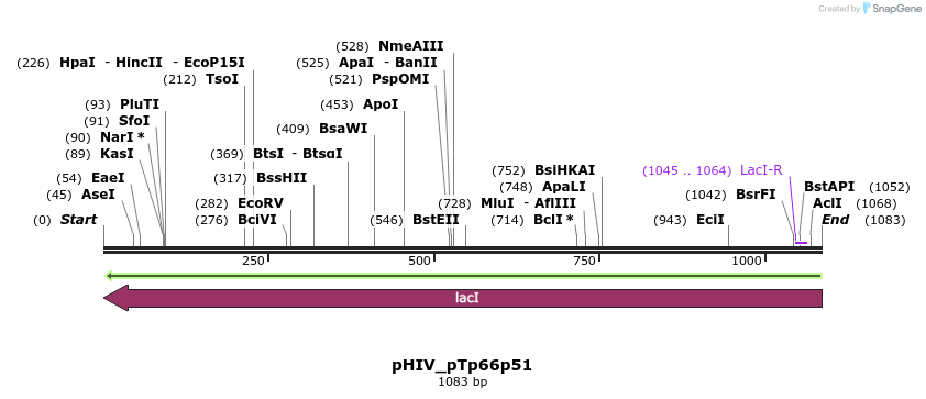 146111_map