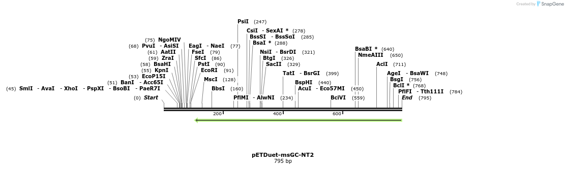 146119_map