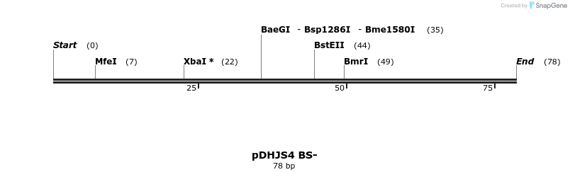 146123_map