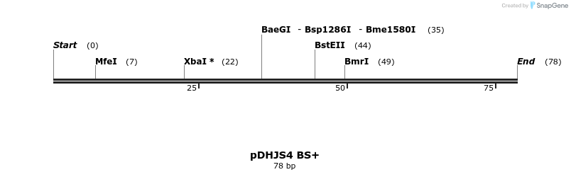 146125_map
