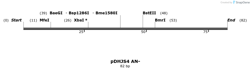 146131_map