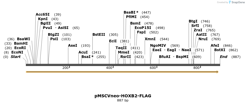 146136_map