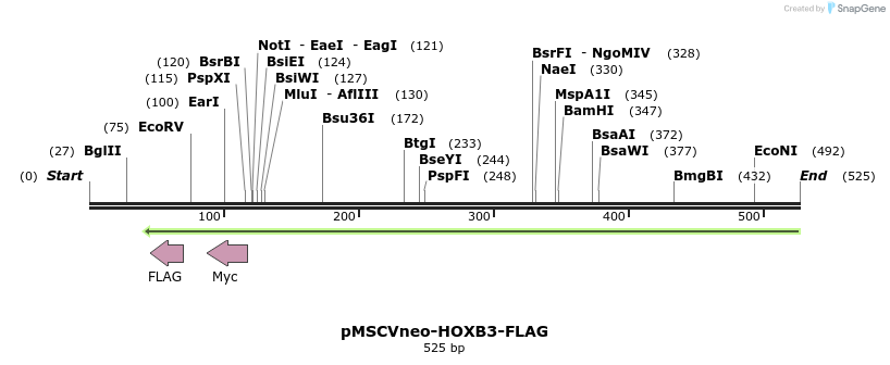 146139_map