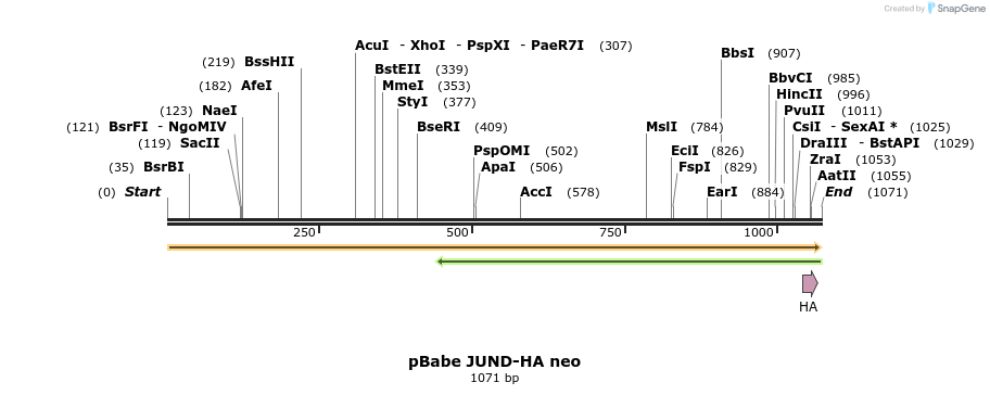146172_map