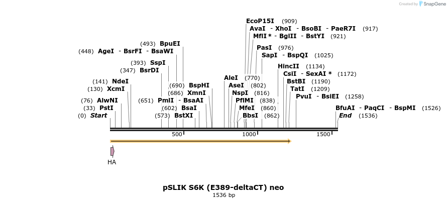 146173_map